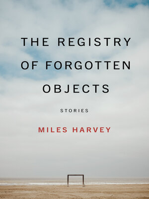 cover image of The Registry of Forgotten Objects